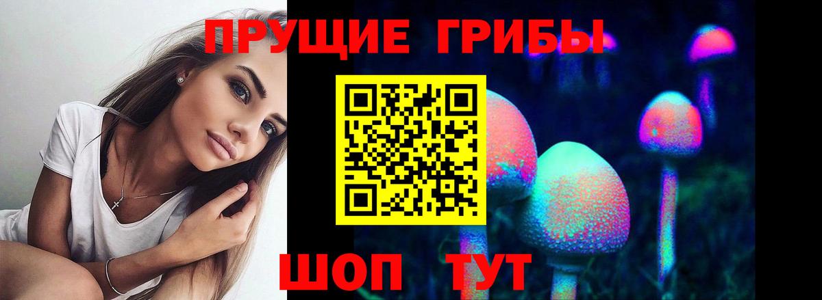 Псилоцибиновые грибы Magic Shrooms  Вход с VPN  Лесной  Галлюциногенные грибы MAGIC MUSHROOMS 